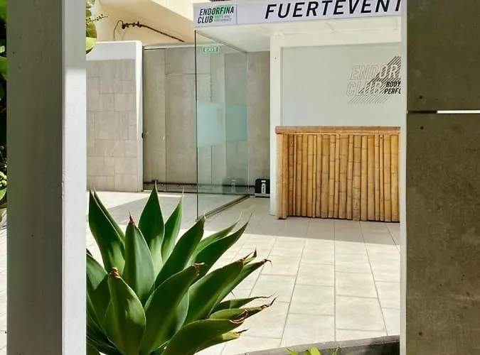 Casa Perla - Cozy Pool Side 코라레호